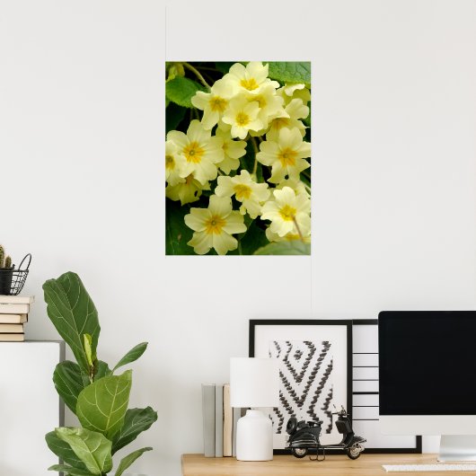 Poster Primula Jaune/Fleur Primrose Imprimer/Poster (Bureau à domicile)
