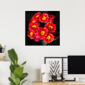 Poster Primula rouge au printemps (Bureau à domicile)