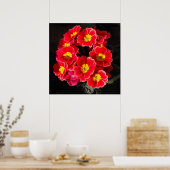 Poster Primula rouge au printemps (Cuisine)