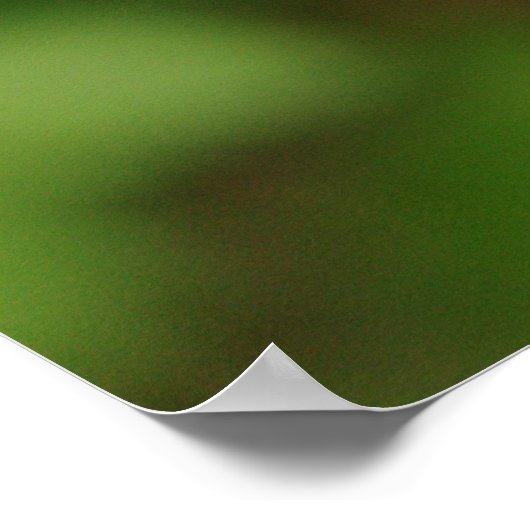 Poster Primule de chandelabra (Coin)