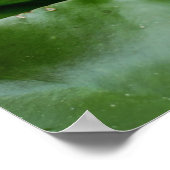 Poster Prince de grenouille couronné sur Lily Pad (Coin)