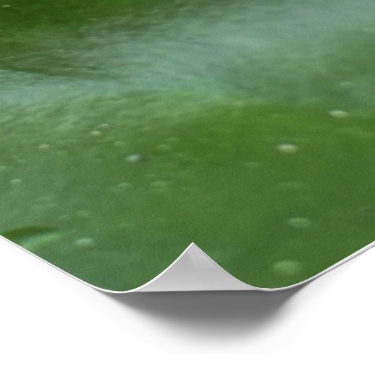 Poster Prince de grenouille couronné sur Lily Pad (Coin)