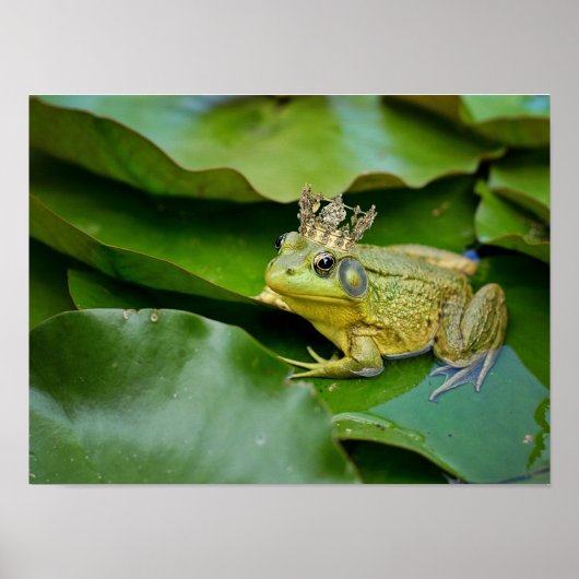 Poster Prince de grenouille couronné sur Lily Pad (Devant)