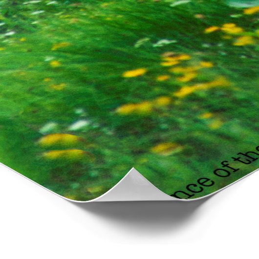 Poster Prince de la Forêt (Coin)