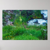 Poster Prince de la Forêt (Devant)