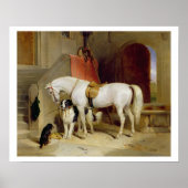 Poster Prince George Favourites (Devant)