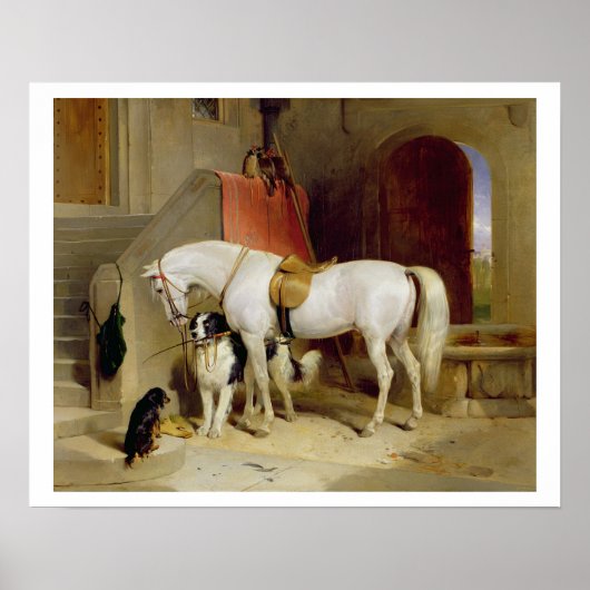 Poster Prince George Favourites (Devant)