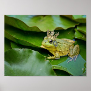 Poster Prince Grenouille Couronné sur une feuille de nénu