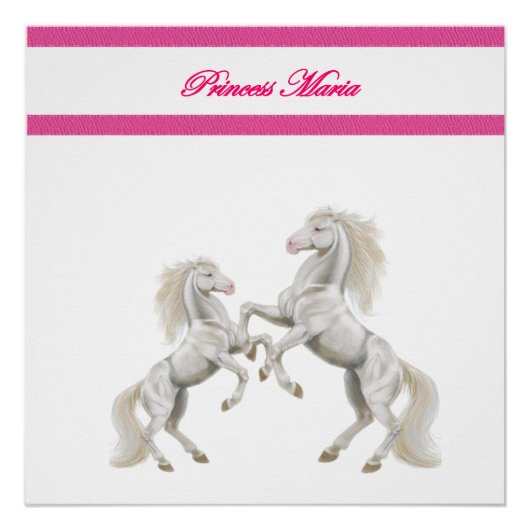 Poster Princess Maria (Devant)