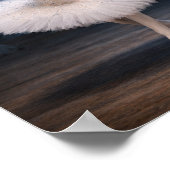 Poster "Princess Odette & Prince Siegfried" (1) (Coin)