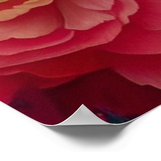 Poster Princesse à la tiare bleue (Coin)