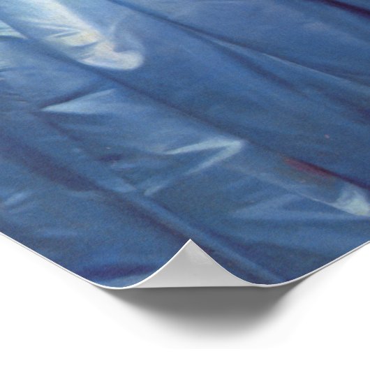 Poster 'Princesse Albert de Broglie' (Coin)