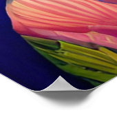 Poster princesse asiatique avec grand casquette bleu (Coin)