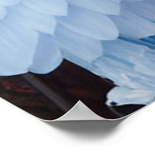 Poster Princesse avec robe en plumes bleues (Coin)