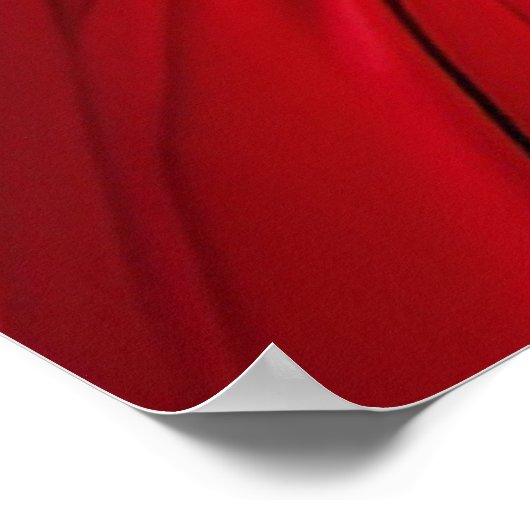 Poster Princesse avec robe rose et bleue (Coin)