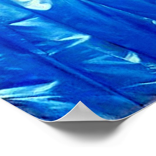 Poster Princesse de Broglie (Coin)