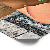 Poster Princesse et Dragon (Coin)