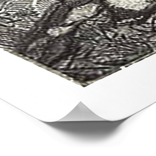 Poster Princesse & Pet Dragon (Coin)