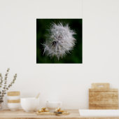 Poster Princesse Pissenlit Doux (Cuisine)