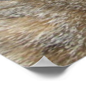 POSTER PRINCESSE TATUS / CHAT ÉLÉGANT, GRAND CHAPEAU DE D (Coin)