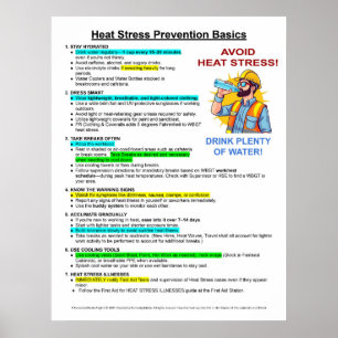 Poster Principes de base de la prévention des maladies du