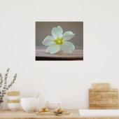 Poster Prinrose (Cuisine)