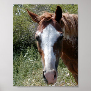 Poster ~Print~ de cheval naturellement