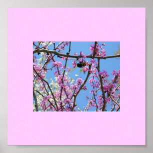Poster Printemps…