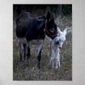 POSTER PRINTEMPS (Devant)