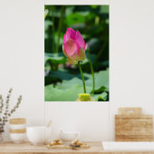 Poster Printemps (Cuisine)