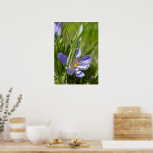 Poster Printemps (Cuisine)