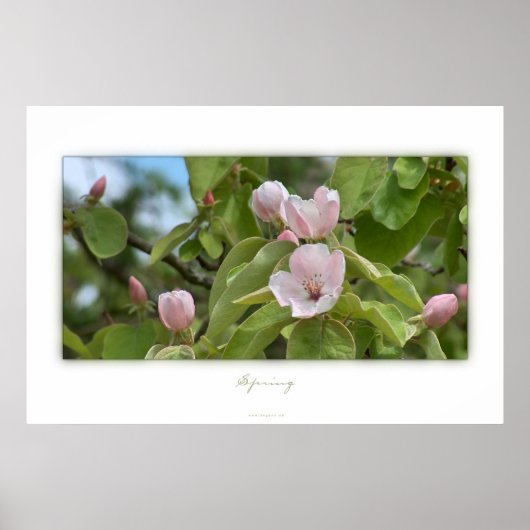 Poster Printemps (Devant)