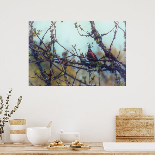 Poster Printemps (Cuisine)