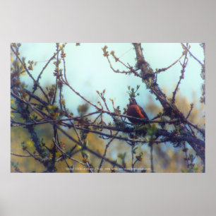 Poster Printemps