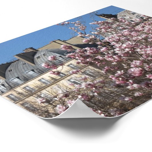 Poster Printemps à Paris (Coin)