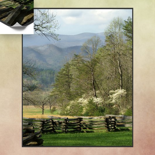 Poster Printemps au Cabine John Oliver