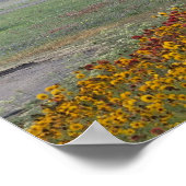 Poster Printemps au Texas (Coin)