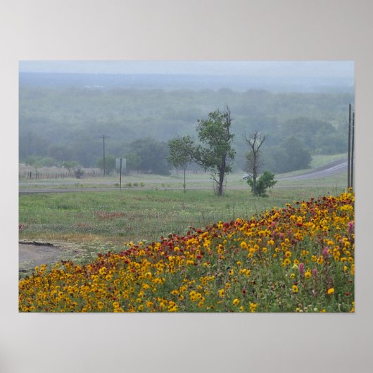 Poster Printemps au Texas (Devant)