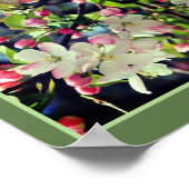 Poster Printemps Crabapple Blossoms Abstraits (Coin)