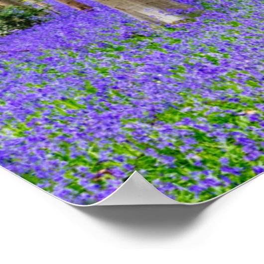 Poster Printemps dans la forêt bleue (Coin)