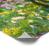 Poster Printemps dans le jardin de Claude Monet (Coin)