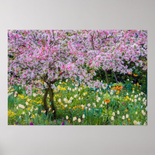 Poster Printemps dans le jardin de Claude Monet (Devant)