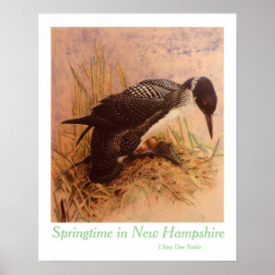 Poster Printemps dans le New Hampshire par Chloe Dee Nobl