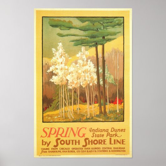 Poster Printemps dans le parc d'état des dunes d'Indiana (Devant)