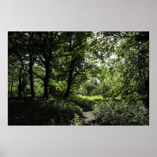 Poster Printemps dans les bois 03 (Devant)