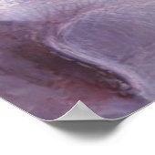 Poster Printemps des orchidées (Coin)