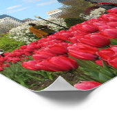 Poster Printemps du jardin public (Coin)