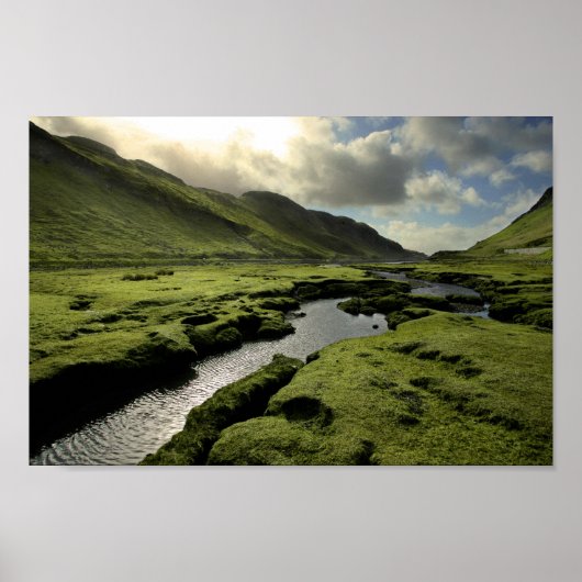 Poster Printemps écossais (Devant)