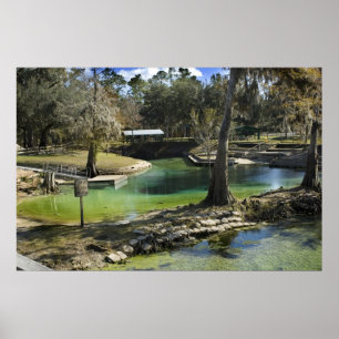 Poster Printemps en hiver