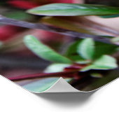 Poster Printemps Fleur Rose (Coin)